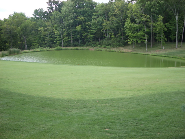 Pond on 7