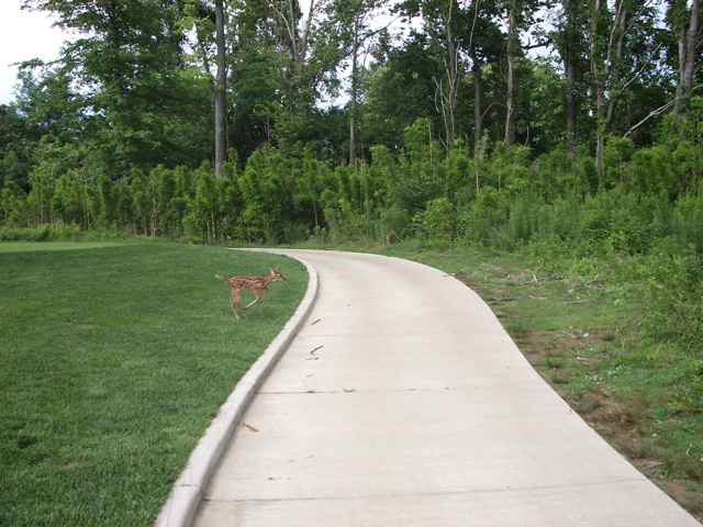 At the 15th tee at Stonelick