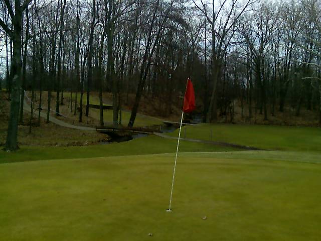 Tenth green at Minerva Lake Golf Course 2008