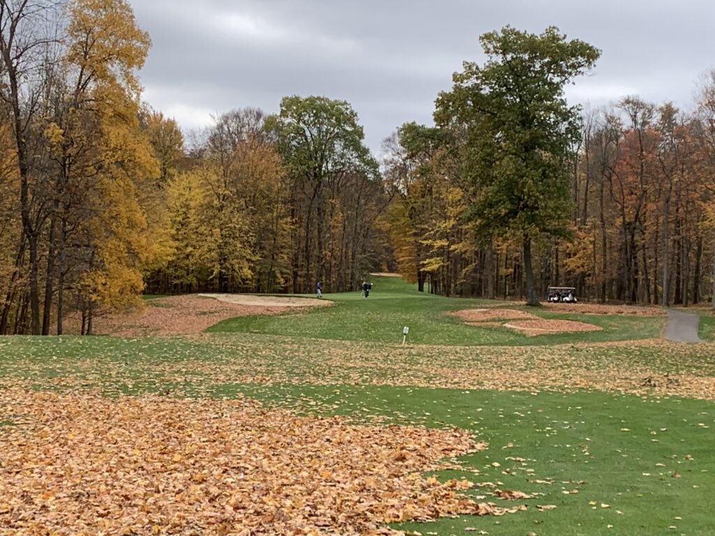 Links at Echo Springs Golf Course, Hole 3, Par 5